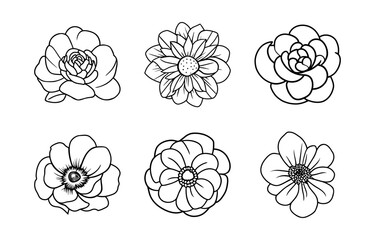 Hand drawn simple flower illustration