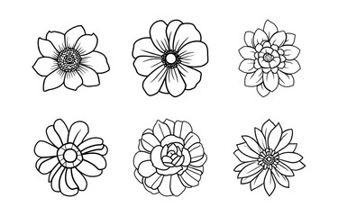 Hand drawn simple flower illustration