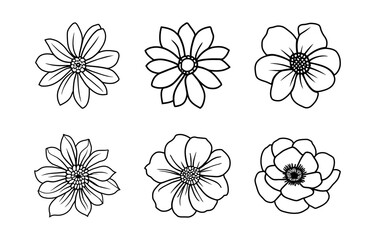 Hand drawn simple flower illustration