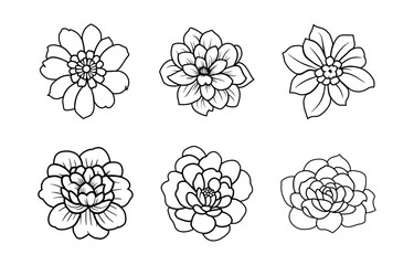 Hand drawn simple flower illustration