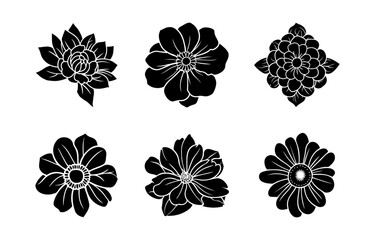 Hand drawn simple flower illustration