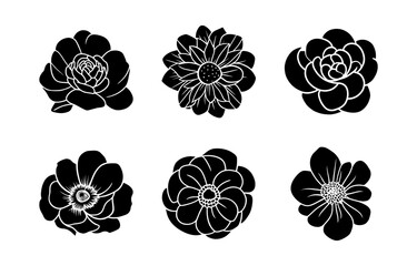 Hand drawn simple flower illustration