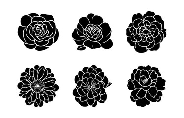 Hand drawn simple flower illustration