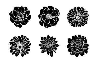 Hand drawn simple flower illustration