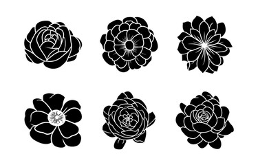 Hand drawn simple flower illustration