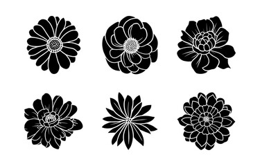 Hand drawn simple flower illustration