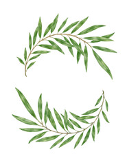 Laurel wreath with two branches. Watercolor botanical painting. Green branches isolated on transparent background. Watercolor coat of arms with branches. Decoration elements.
 - obrazy, fototapety, plakaty