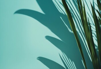 Blurred shadow from palm leaves on the light blue wall Minimal abstract background for product presentation