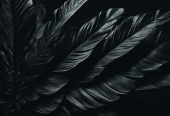 Textures of abstract black leaves for tropical leaf background Flat lay dark nature concept tropical