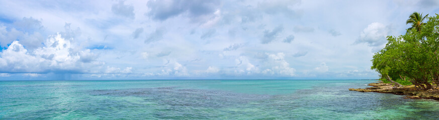Panorama of caribbean tropical beach with palm trees and turquoise blue water.