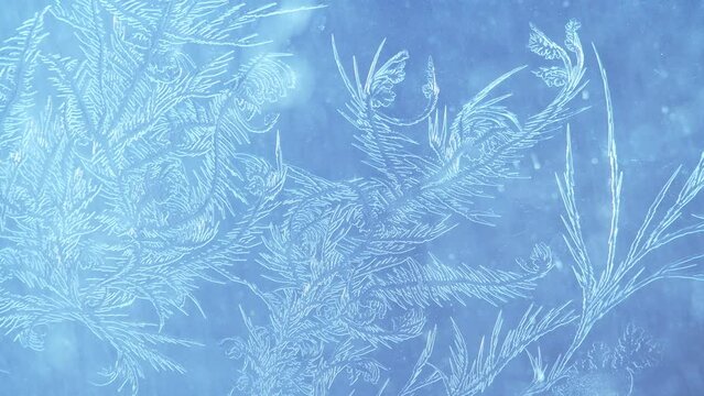 Camera focusing at frost patterns on glass window surface. Abstract winter backdrop
