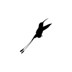 Flying Hummingbird Silhouette, can use Art Illustration, Website, Logo Gram, Pictogram or Graphic Design Element. Vector Illustration
