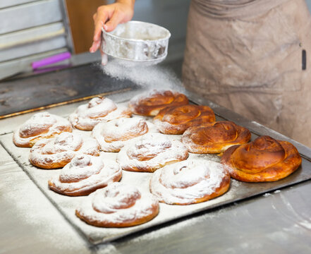 Baker hands dusting freshly baked ensaimadas with powdered sugar in bakery. Baking process of traditional Spanish pastries