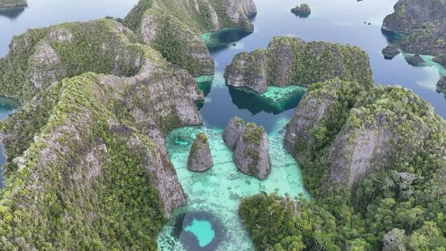 Scenic limestone islands, fringed by coral reefs, rise from the amazing seascape in Raja Ampat, Indonesia. These islands' reefs, and the surrounding seas, support extraordinary marine biodiversity.