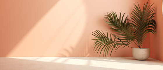 Background with Palm Shadow on Peach Wall