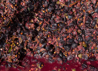 Wine material, grape juice - must, stum, maun. Technology of wine production in Moldova. The folk tradition of making wine.