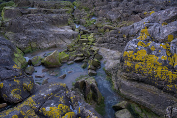 Photograph of coastal rocks adorned with green and yellow moss, featuring a frozen pool of water leading to a meandering stream of ice.