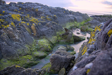 Fototapeta na wymiar A photograph of rugged coastal rocks covered in green and yellow moss, with a small frozen stream weaving through the crevices. Taken on a chilly UK winter day, this image captures the serene beauty