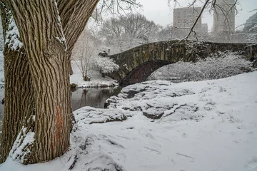 Foto op Plexiglas Gapstow Brug Gapstow Bridge in Central Park, Snow storm