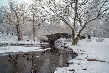 Gapstow Bridge in Central Park, Snow storm