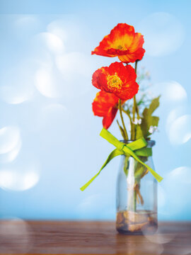 Red color poppy flower bouquet in a glass jar bottle tied by green ribbon, bokeh in foreground. Blue wall background. Beautiful decoration element of a room in a house. Still life. Vertical image