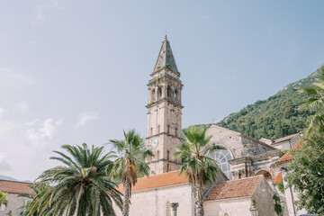 Fototapeta na wymiar Green palm trees grow near the Church of St. Nicholas in Perast. Montenegro