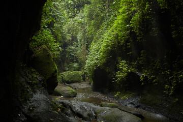 Rocks and huge boulders covered with moss in the jungle on the popular island of Bali.