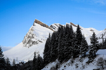 snow covered mountains