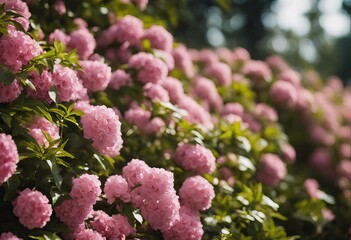 Obraz premium Photo of floral wall stock photoFlower Backgrounds Wedding Rose Flower Pink
