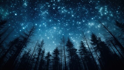 Enchanted Night: A Forest Canopy Under a Starlit Sky, Horizontal Wallpaper Background
