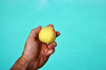 mão segurando fruta pessêgo com fundo azul de piscina 