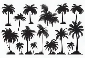 Foto op Canvas Set of palm trees black color and isolated white background © Produzir