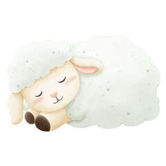 Cute sheep are sleeping