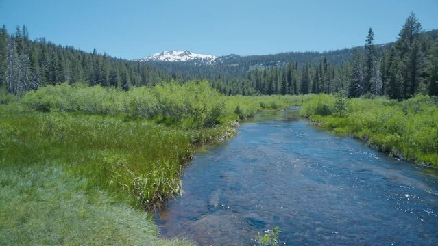 Woman taking photo of mountain stream and meadow in Lassen National Park