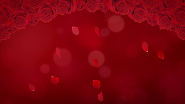 Red rose petals are falling beautifully. Glitter abstract background. Mother's Day, Valentine's Day, wedding celebrations.loop video.(079)
