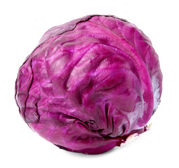 Obraz premium One whole red cabbage isolated on white