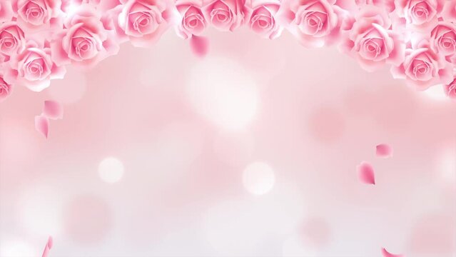Pink rose petals are falling beautifully. Glitter abstract background. Mother's Day, Valentine's Day, wedding celebrations.loop video.(079)
