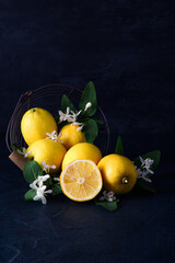 Basket of blooming branches with lemons on black background