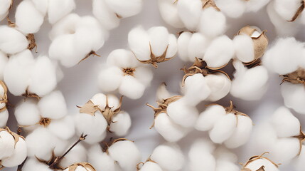 White cotton flowers on a white background. Cotton wool. natural organic fiber cotton eco, Flat lay. Top view. Close-up. Generative AI