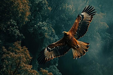 Beautiful portrait of Javan Hawk-Eagle fly hight in the forest AI Generative