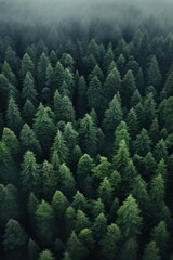Fototapeta premium A stunning aerial view of dense untouched forests AI generated