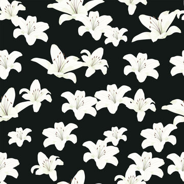 White Lily Flower Seamless Pattern Frame Background
