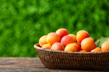 Wicker bowl with fresh apricots on wooden table outdoors