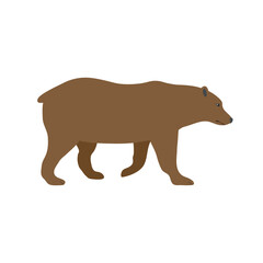 Vector flat hand drawn grizzly bear isolated on white background