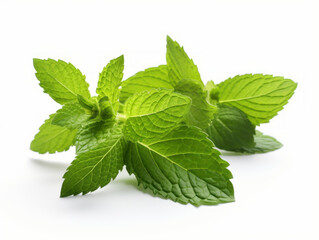 Close-up of Fresh mint leaves on white background, vitamin and health concept. Generative AI.