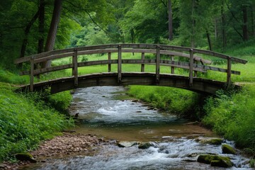 Rustic wooden bridge spanning a babbling brook