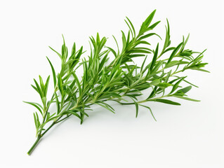 Close-up of fresh tarragon leaves on white background, vitamin and health concept. Generative AI.