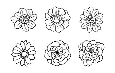 Hand drawn simple flower illustration