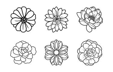 Hand drawn simple flower illustration