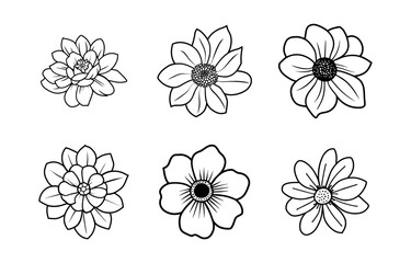 Hand drawn simple flower illustration